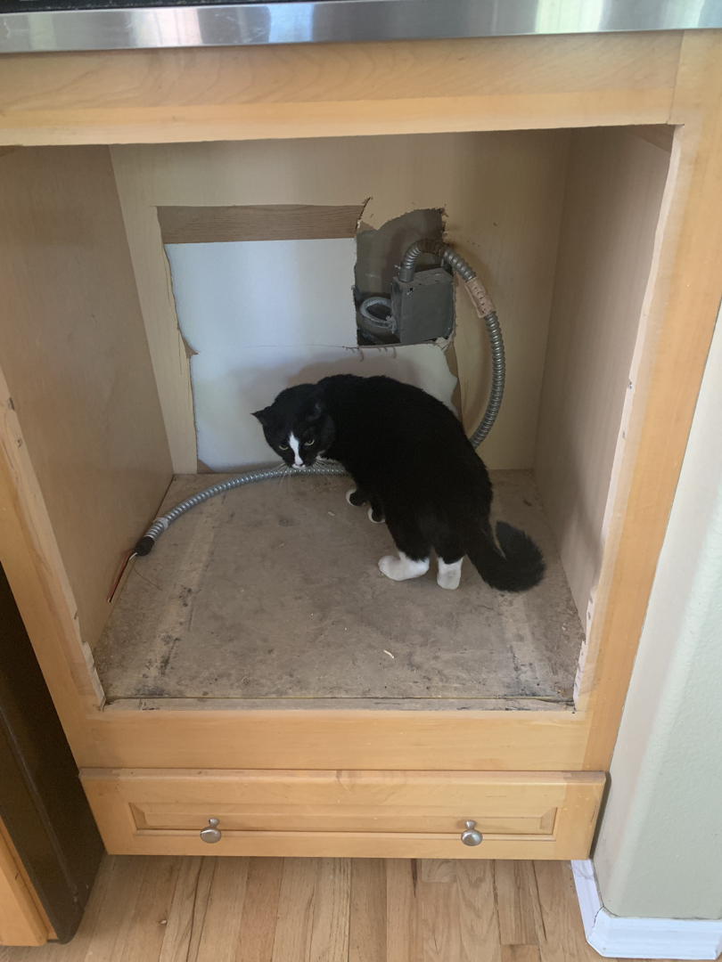 Henry helps us get ready for our new oven