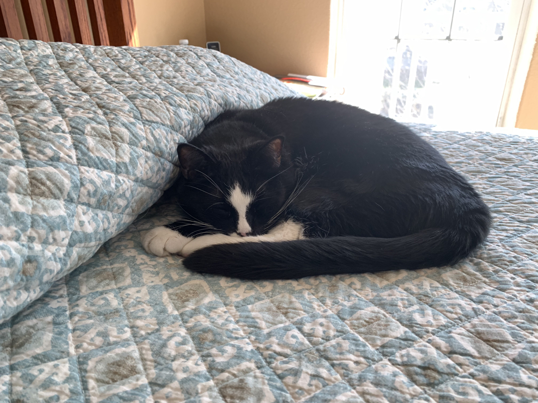 Sleepy