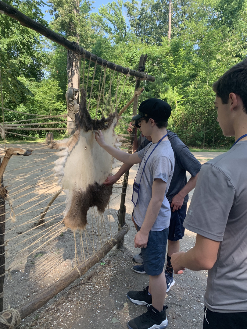 Preparing a hide for tanning