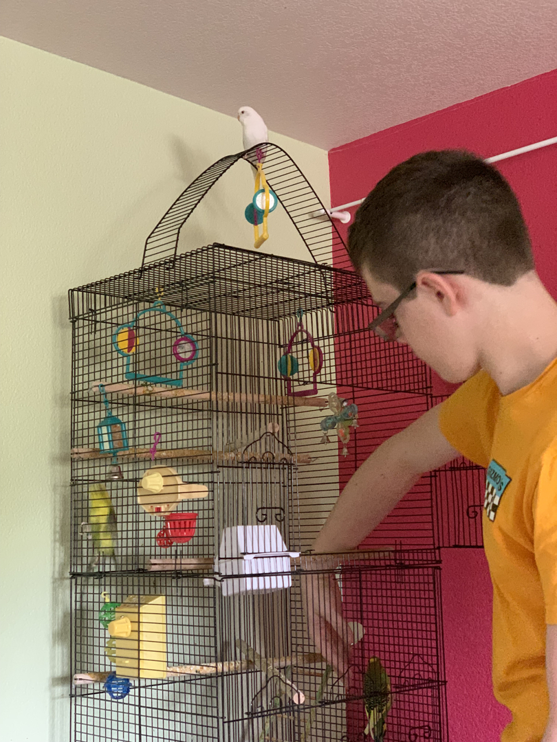 A new bird playground