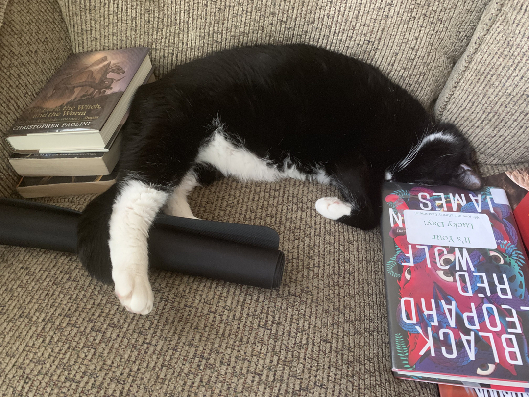 Henry naps between books