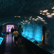 IMG_3445.JPG