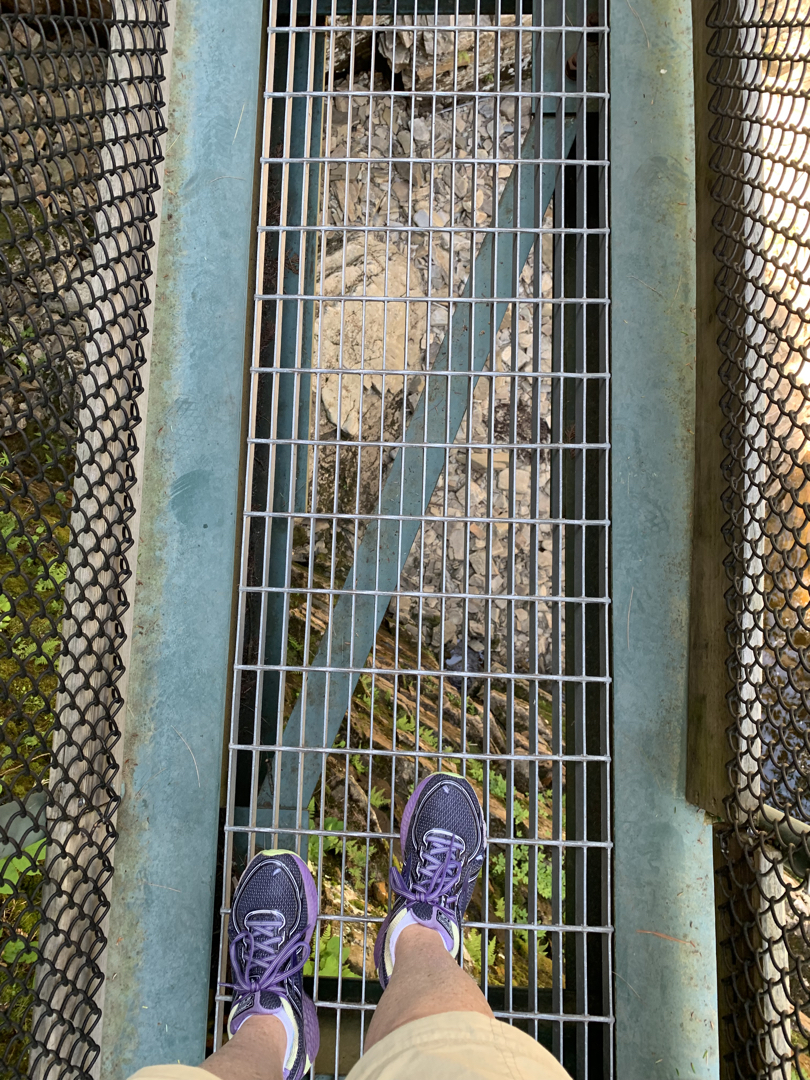 Don't. Look. Down.