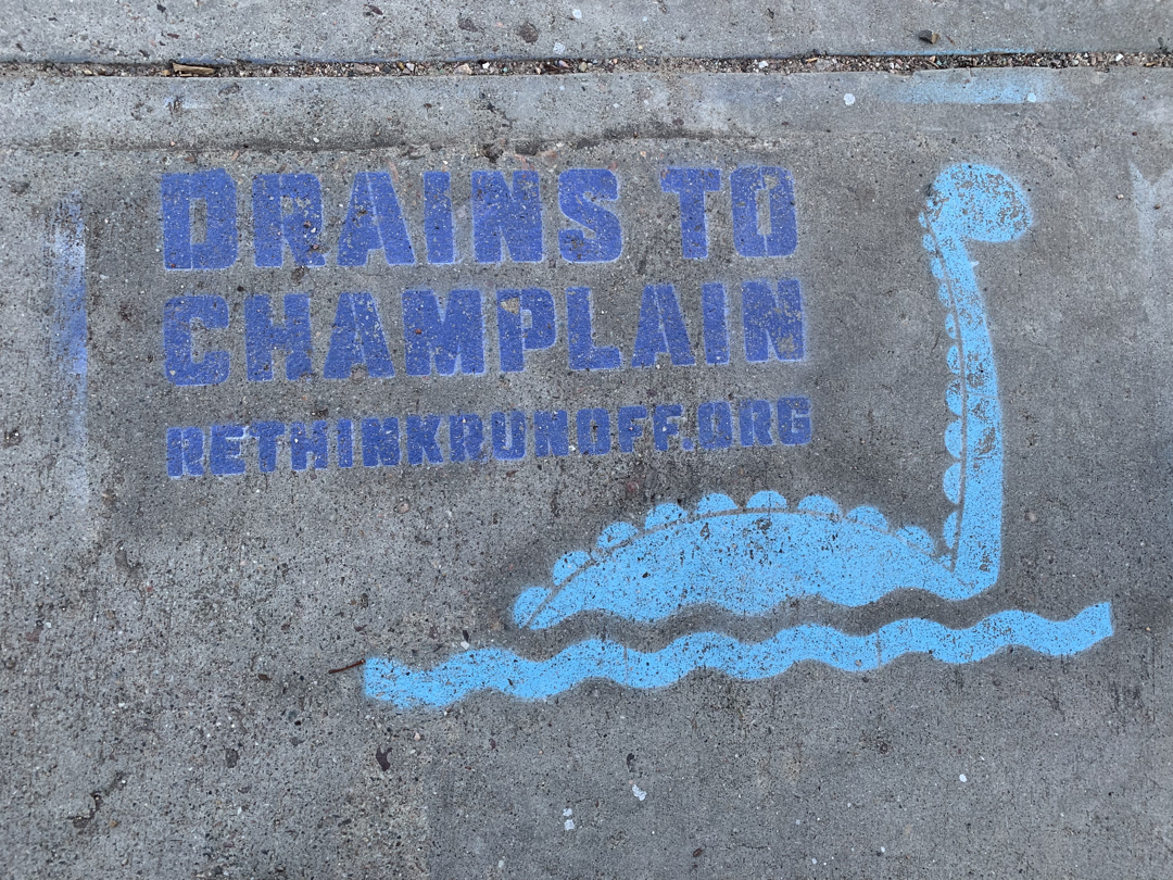 Our only Champy sighting