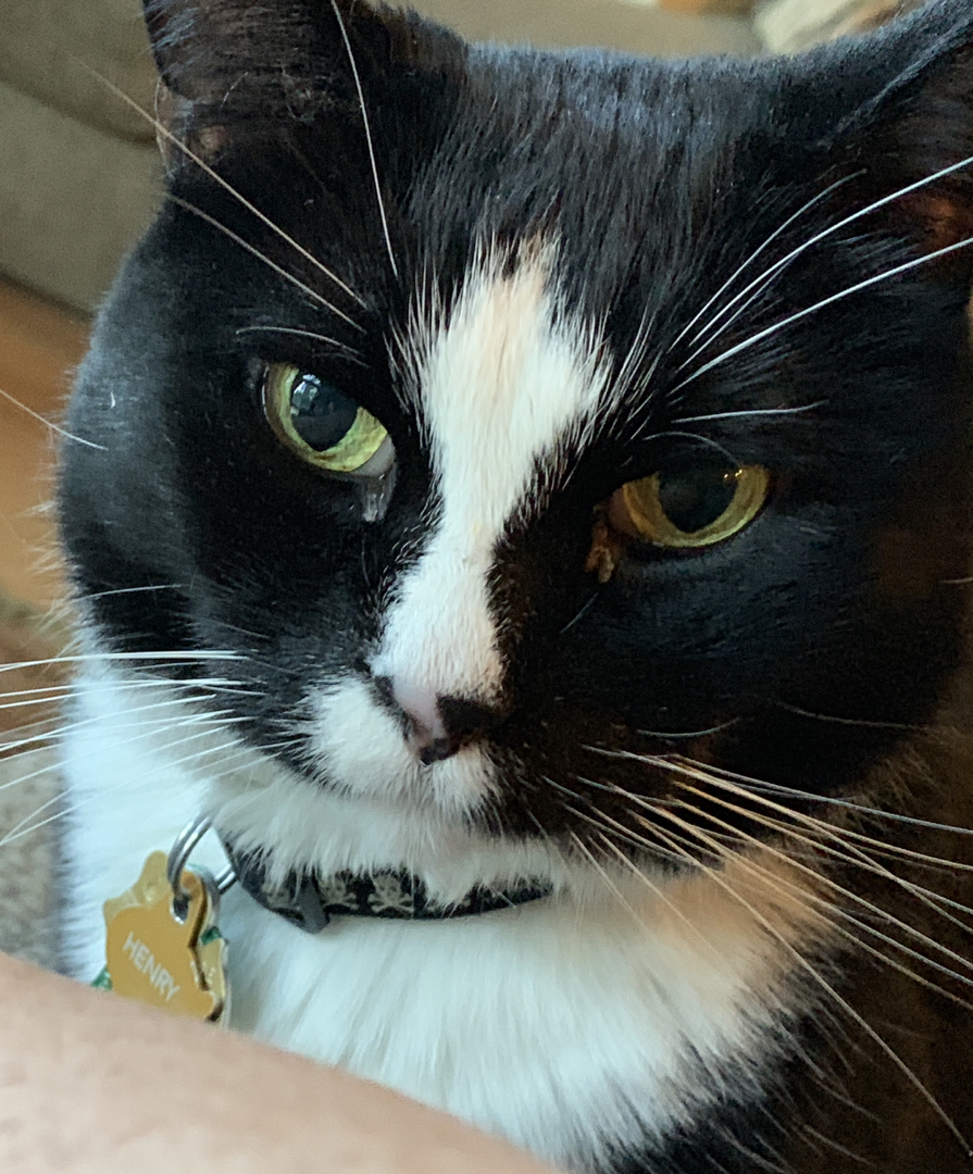 Henry's close-up