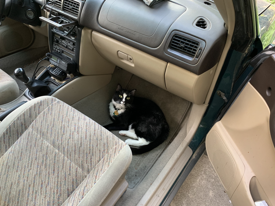 Stowaway
