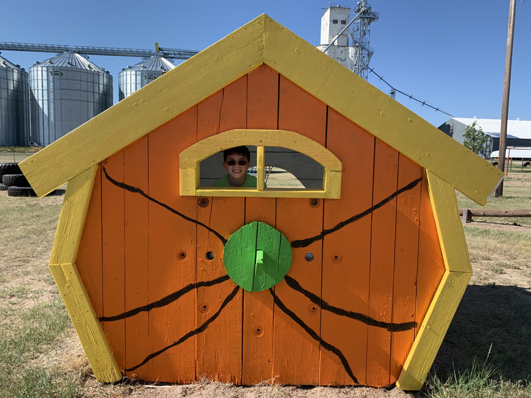 Ted in the pumpkin house