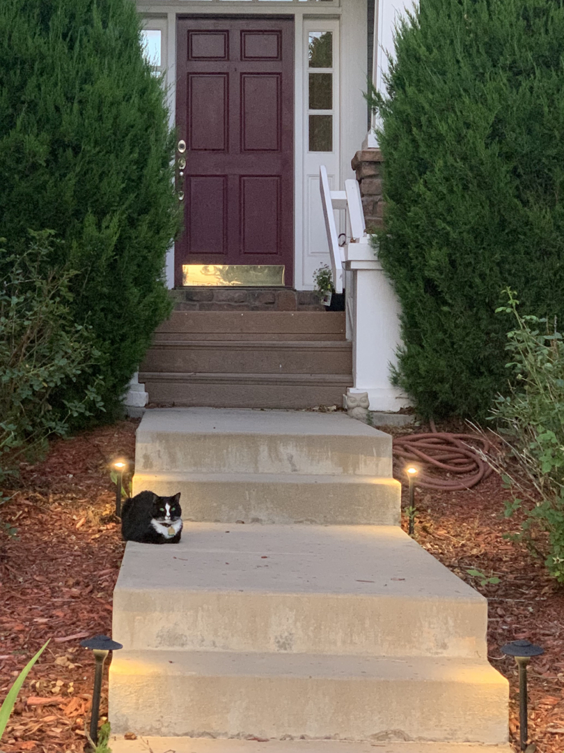 Guardian of the entry