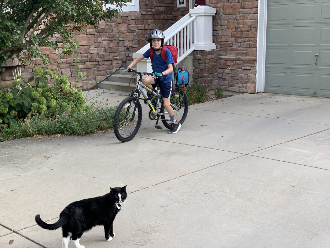Driveway obstacle