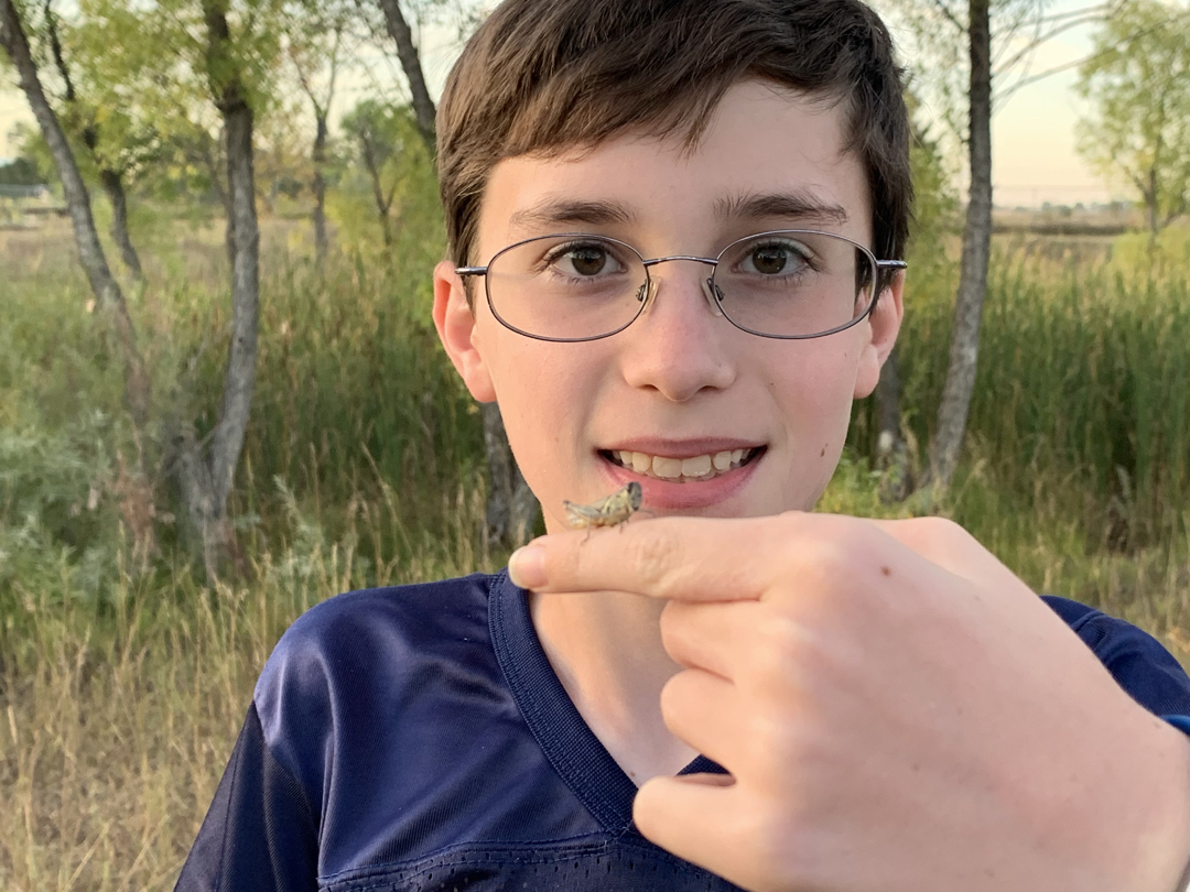 Ted and a grasshopper