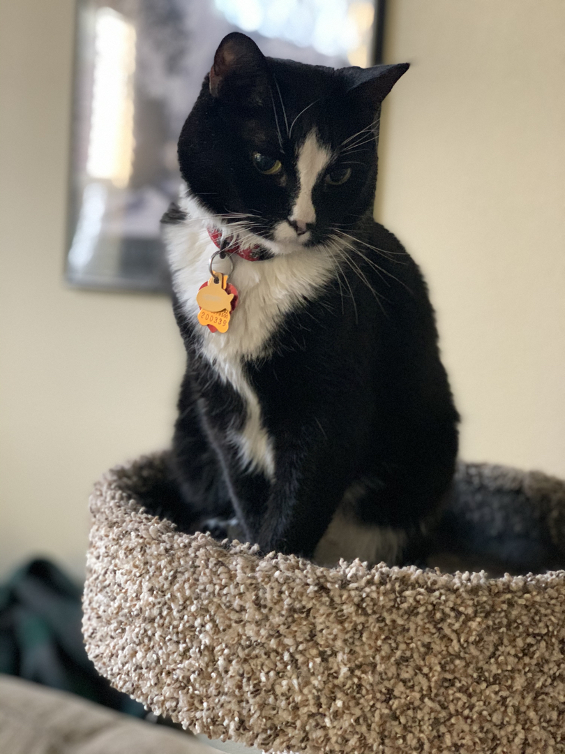 Henry in his condo