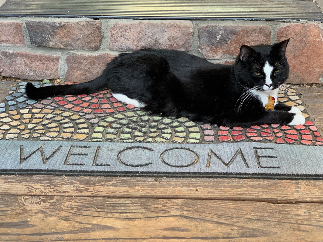 Welcome