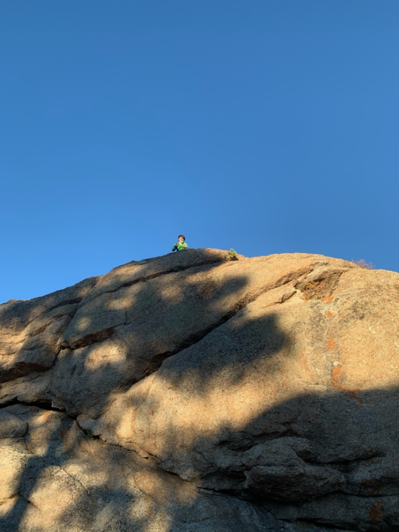 Ted up high
