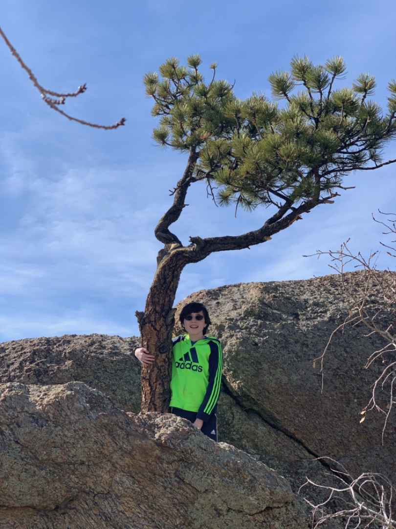 Tree hugger