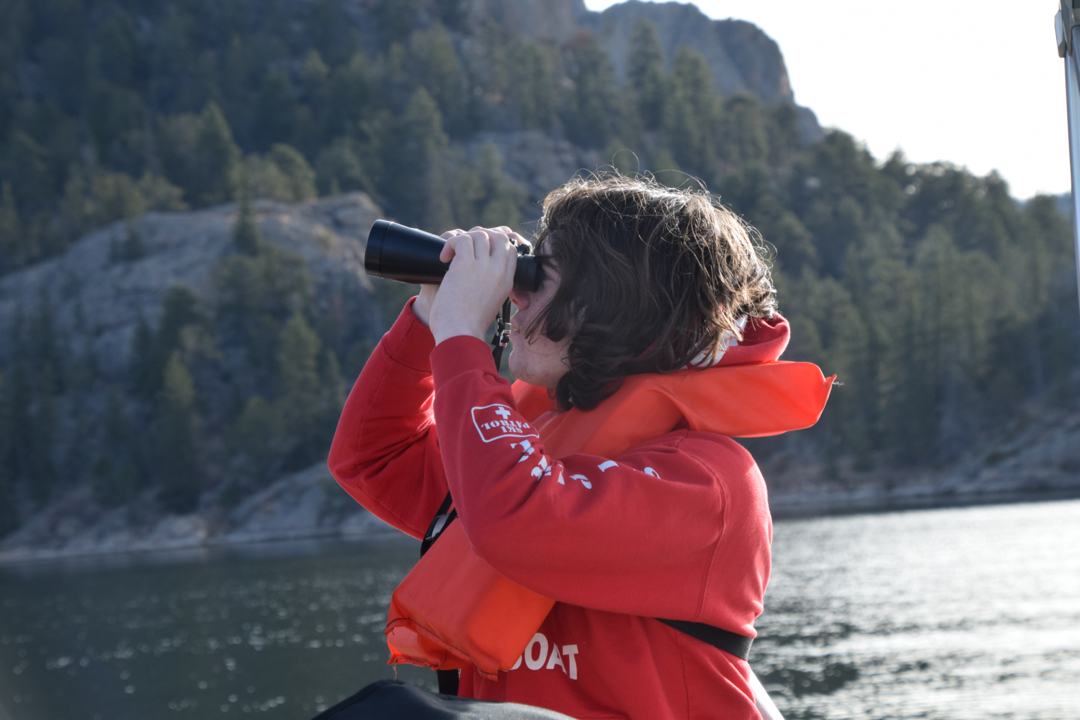 Scanning for bears