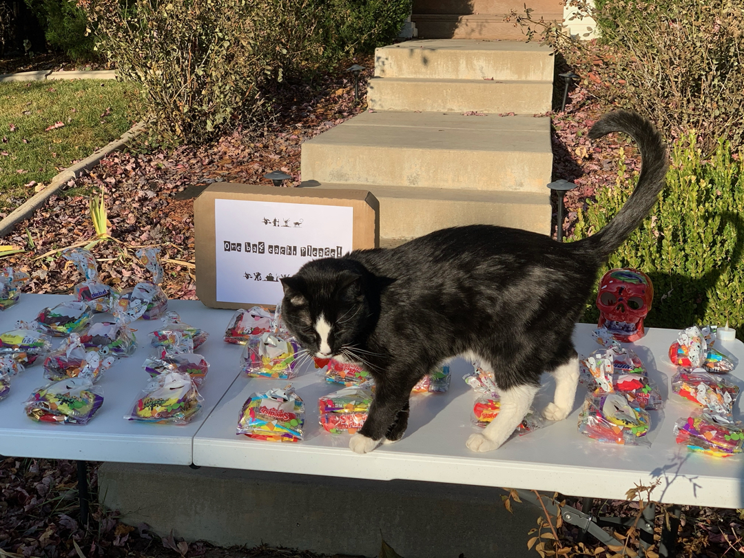 Henry is out to enforce the One Bag Each rule!