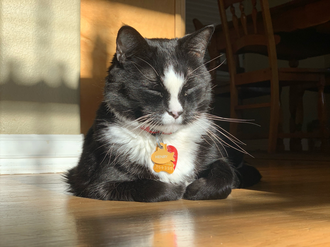 Sunbeam