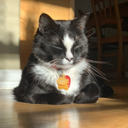 D30F249F-9427-4160-9A87-A056A047C936.jpeg