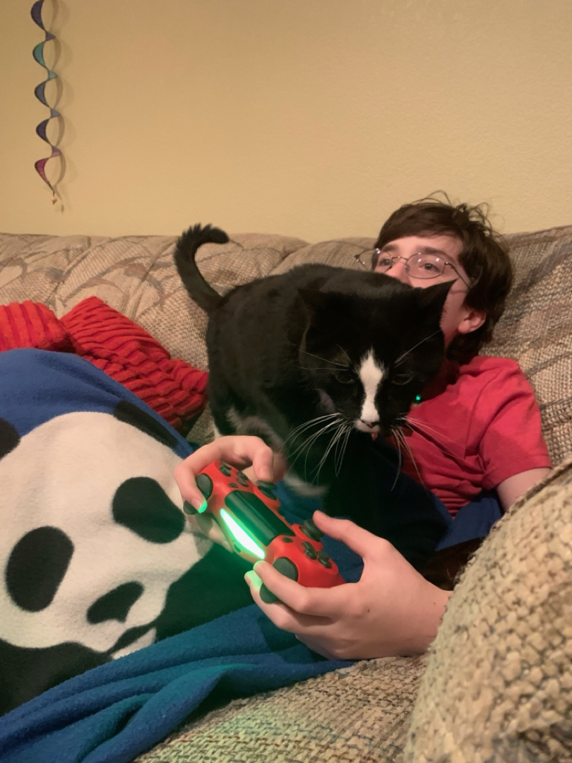 Henry likes to be a gamer