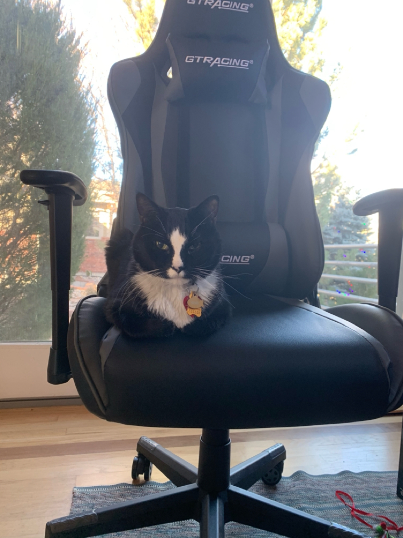 Henry likes the chair