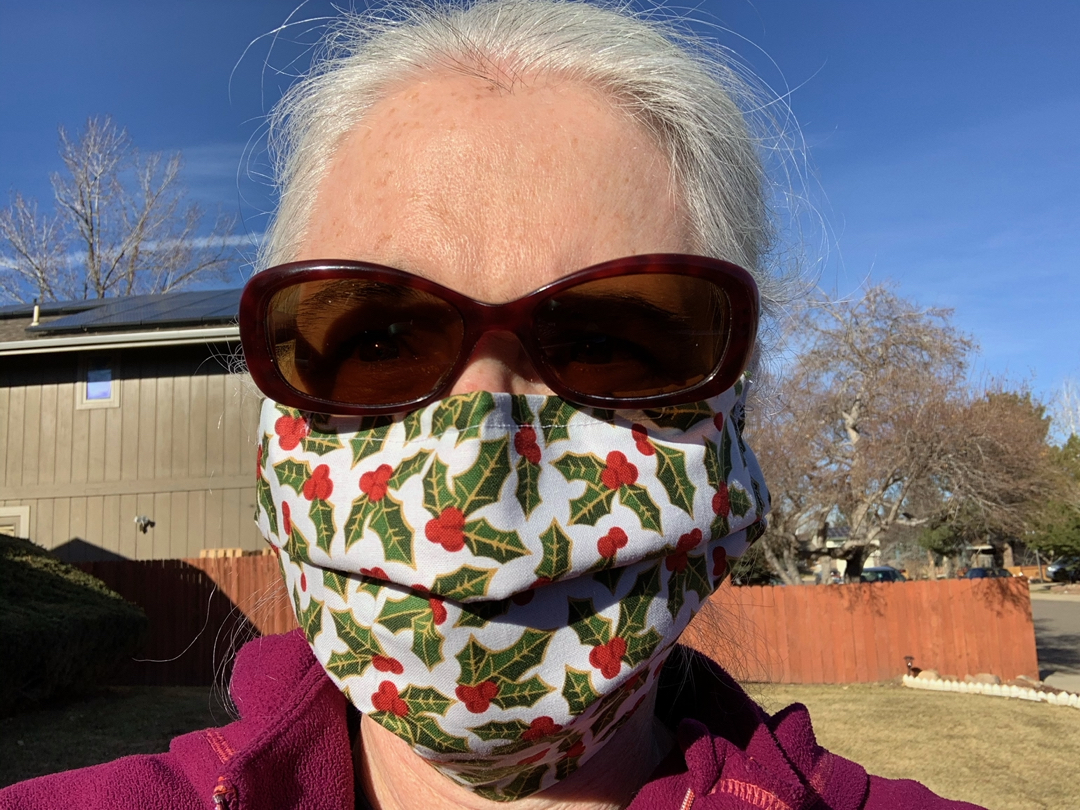 Christmas mask