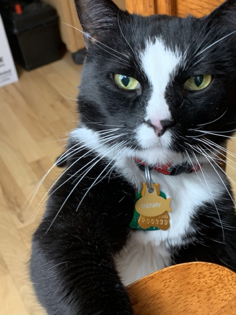 Henry needs attention