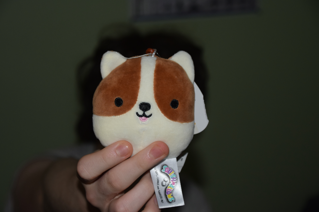 Easter corgi