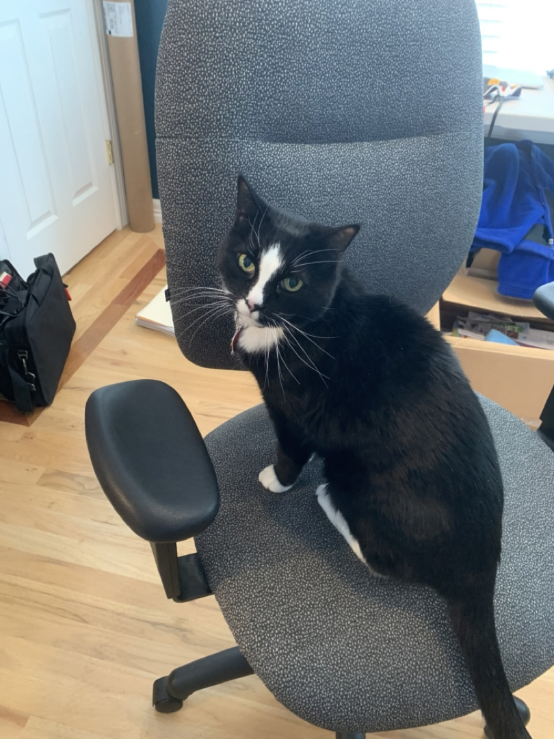Henry's ready for work