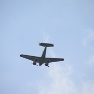 DSC_1233.JPG