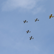 DSC_1248.JPG