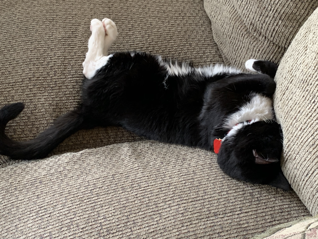 Face smoosh
