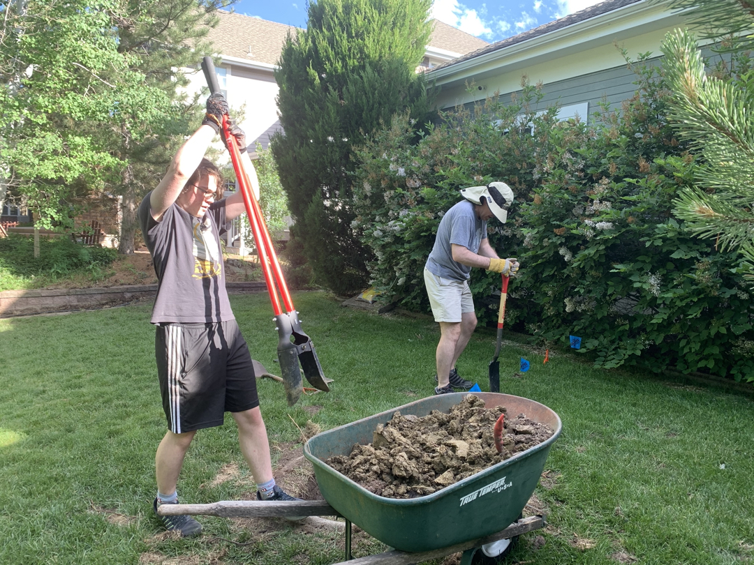 Back yard projects