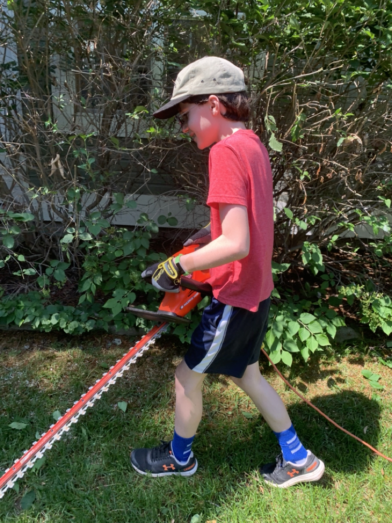 Hedge trimmer