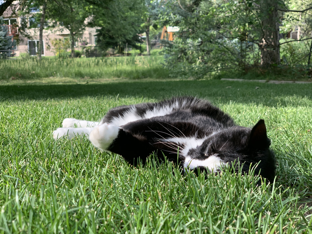 Napping in nature