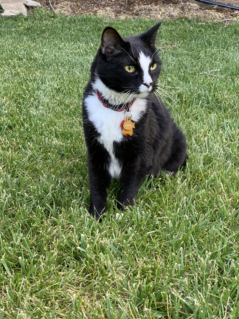 Alert