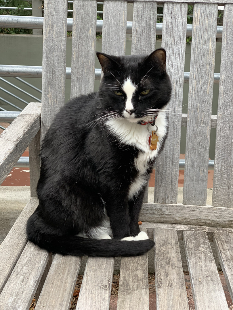 Henry's chair