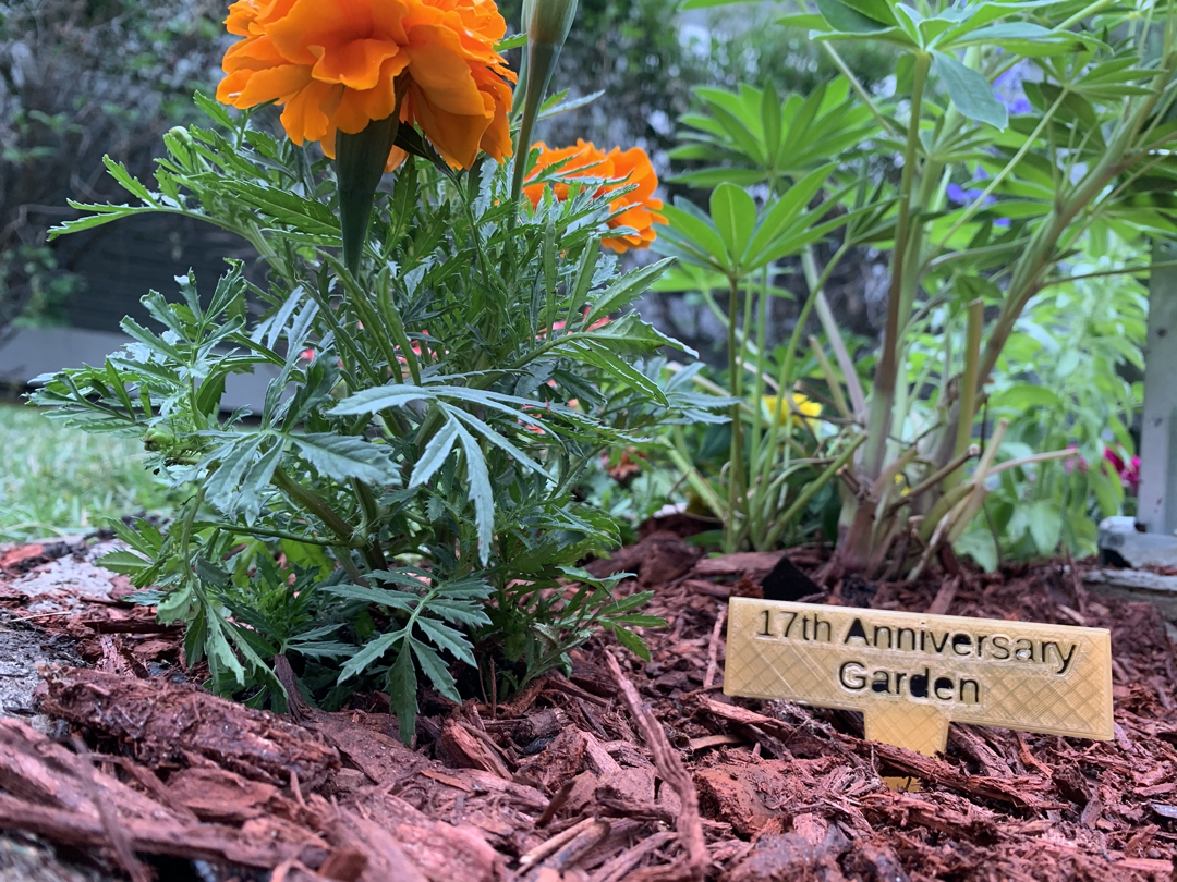 17th Anniversary Garden
