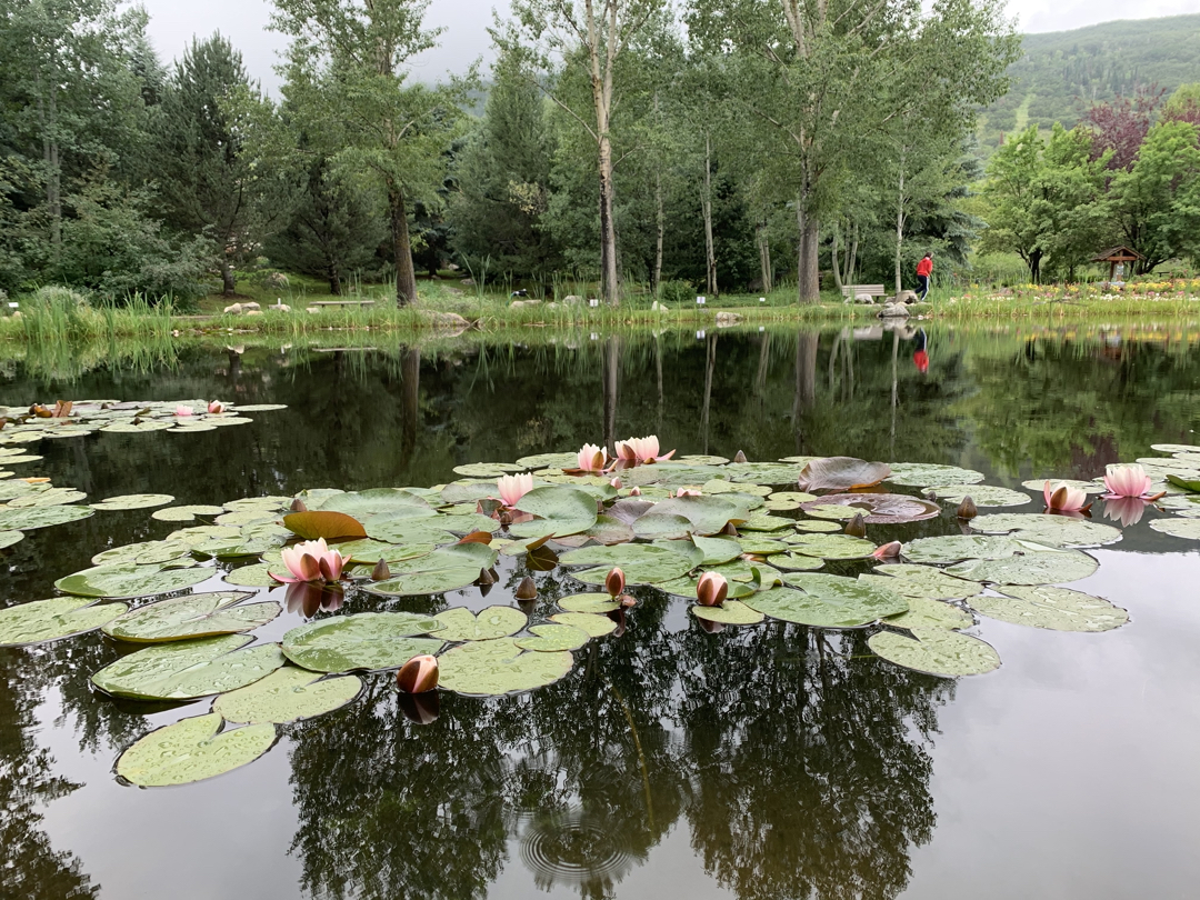 Tim across the pond