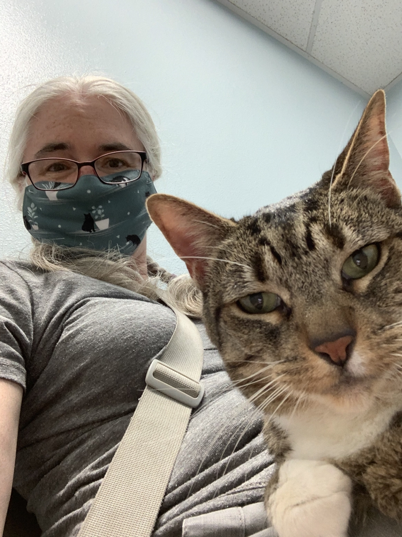 Helping Grandpa decide if Minni is the right cat for him