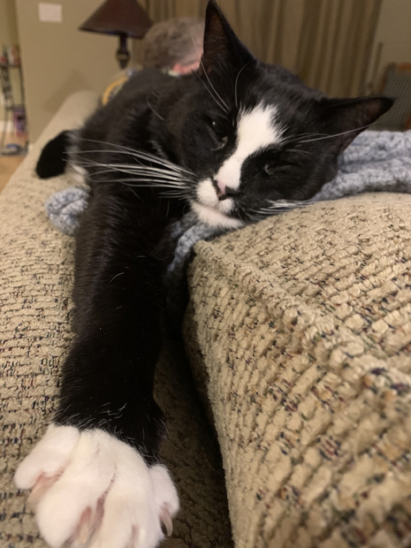 Sleepy stretch