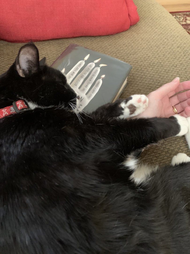 Henry likes to read