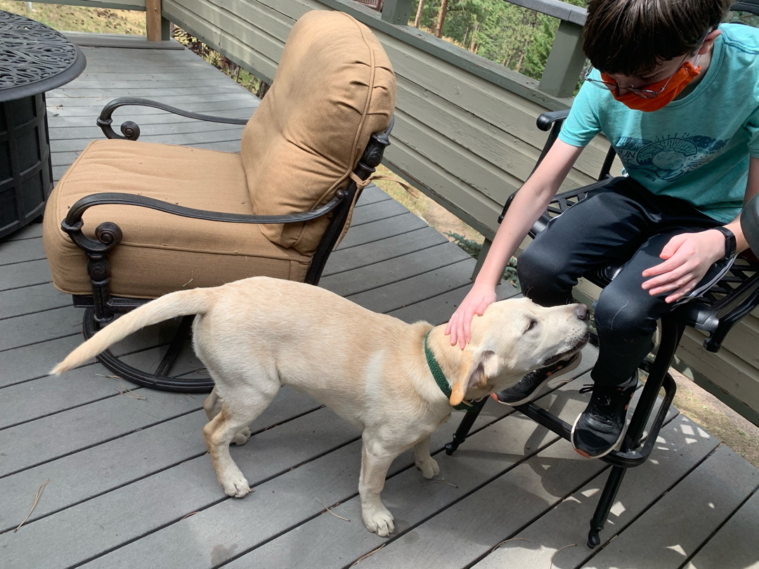 Puppy friend