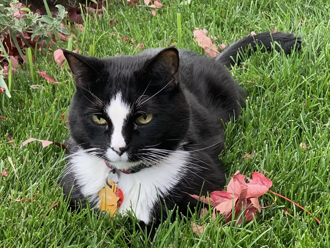 Gardening assistant