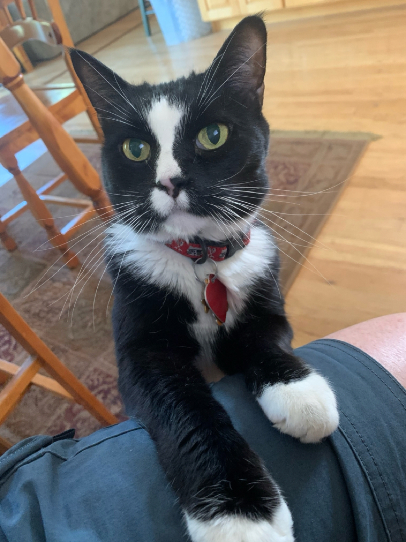 Please, may I sit on your lap?