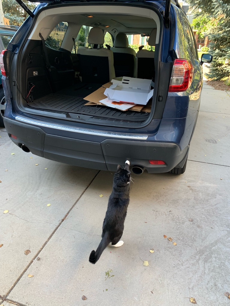 Henry helps load cardboard for recycling