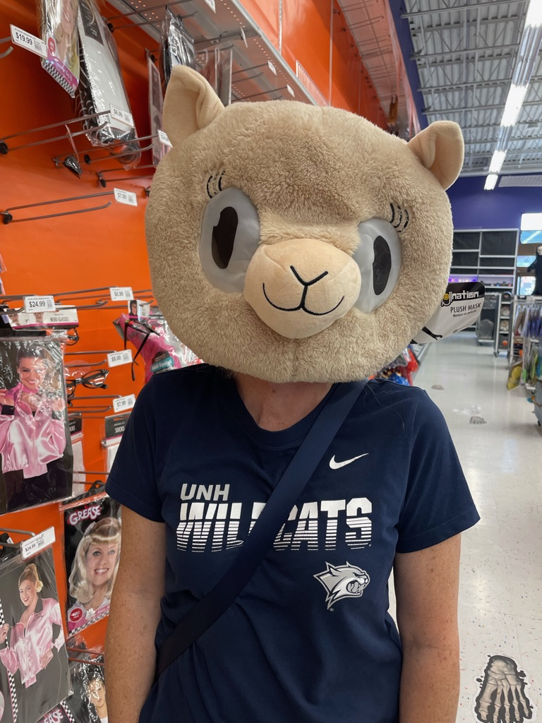 Just a typical shopping trip