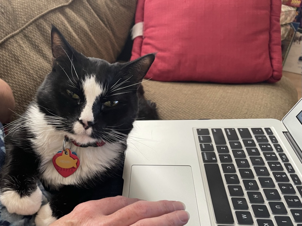 Work helper