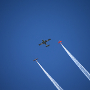 363AD290-6D0D-4CC3-B1D8-F7912B03AA29.jpeg