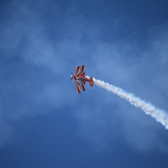 88949995-1B26-4FEF-8761-7E2E54FC7A90_1_105_c.jpeg