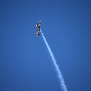 CBE24CA6-C838-403E-8A04-499879ACD9F2_1_105_c.jpeg